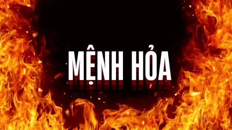 menh-hoa-hop-voi-mau-gi-goi-y-chon-mau-may-man-tai-loc-7